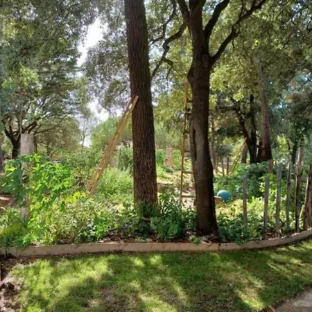 T2 Lumineux Avec Terrasse Et Vue Mer, à Pied